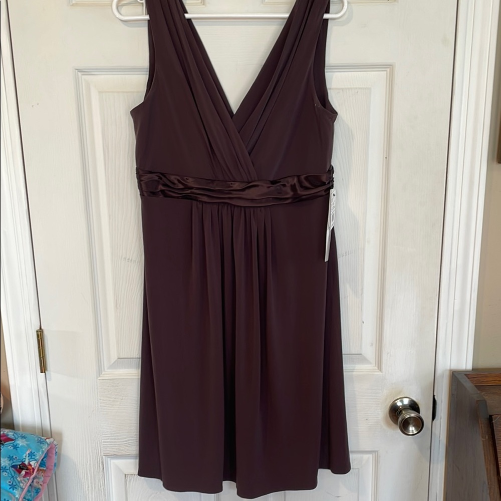 David’s Bridal Size 12 Sleeveless Dress